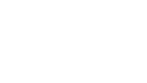 WW_Ford